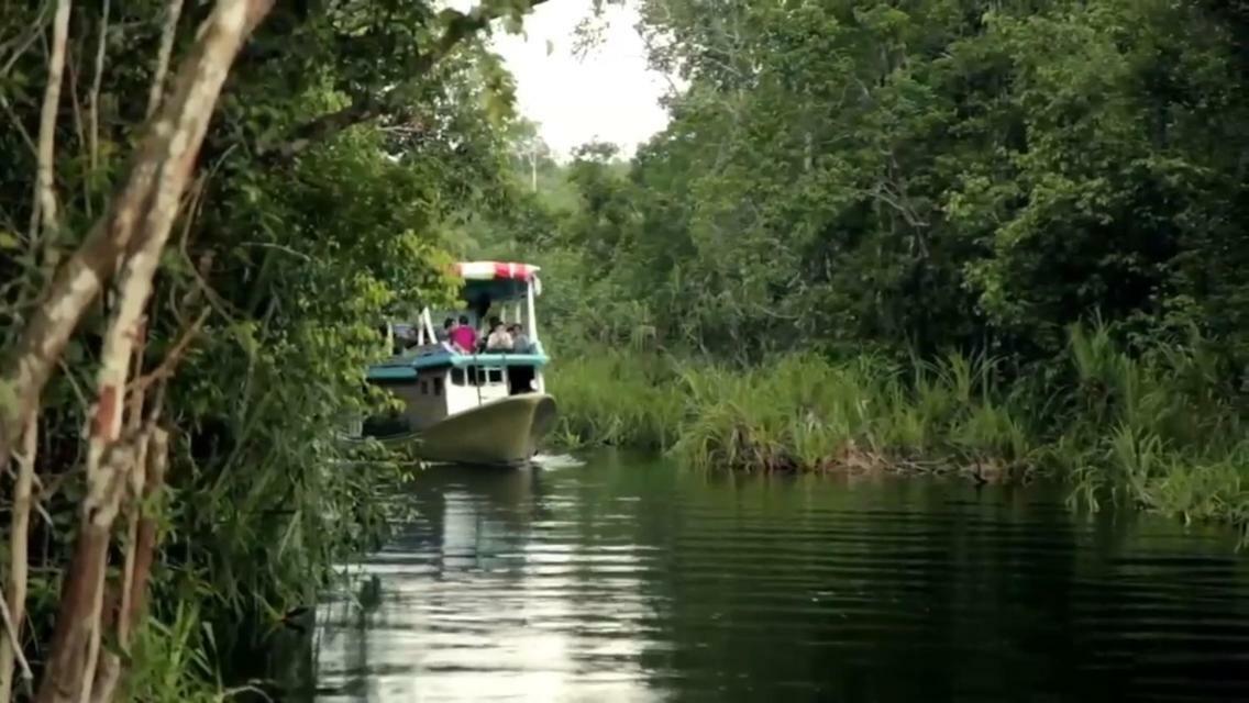 Orangutan Shaka Houseboat With Cabin Pangkalan Bun Exterior foto