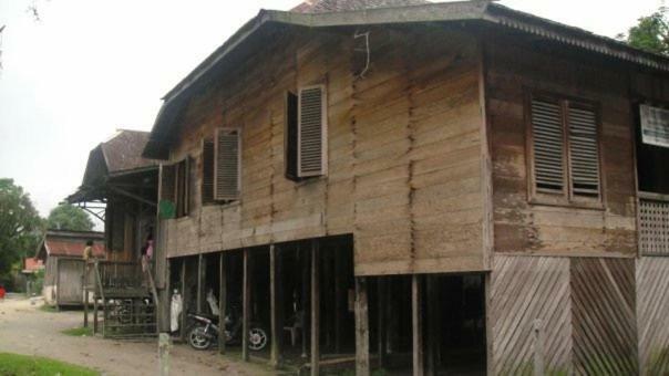 Orangutan Shaka Houseboat With Cabin Pangkalan Bun Exterior foto